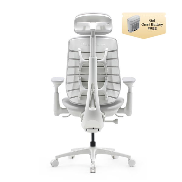 LiberNovo Maxis Dynamic Ergonomic Chair
