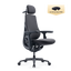 LiberNovo Maxis Dynamic Ergonomic Chair
