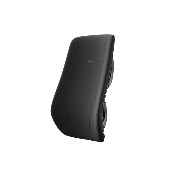 Maxis Electric - Backrest Assembly
