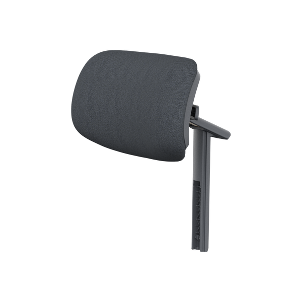 Headrest Assembly
