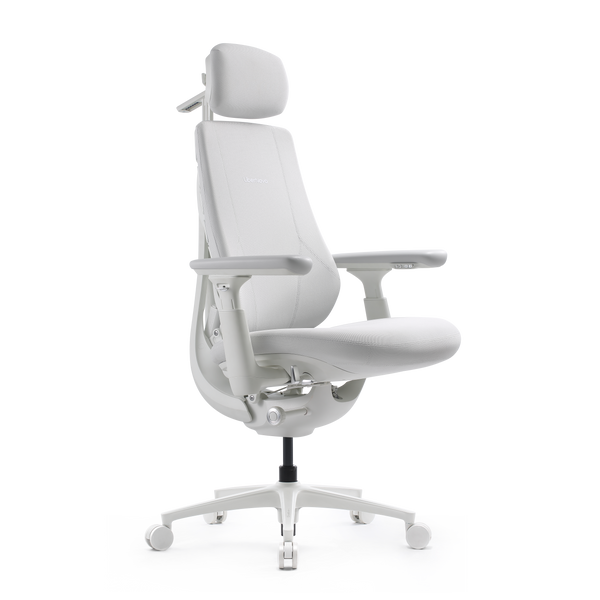 LiberNovo Maxis Dynamic Ergonomic Chair
