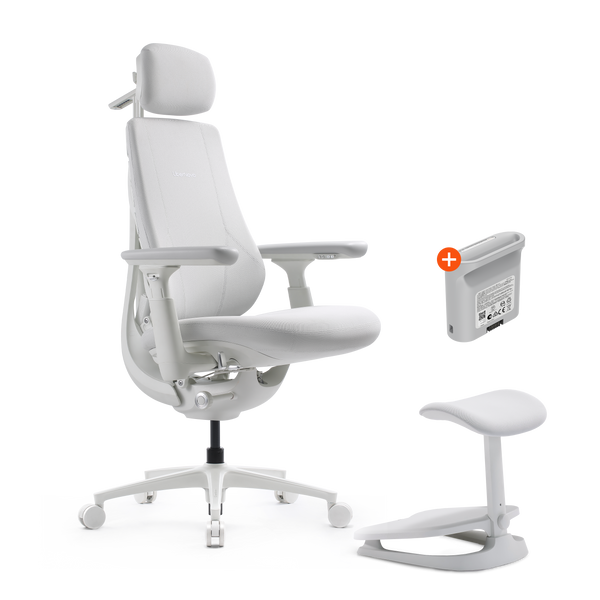 LiberNovo Maxis Dynamic Ergonomic Chair
