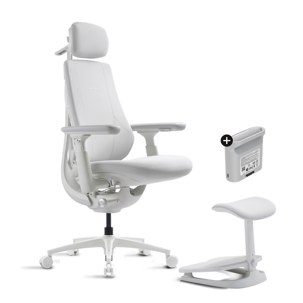 LiberNovo Maxis Dynamic Ergonomic Chair
