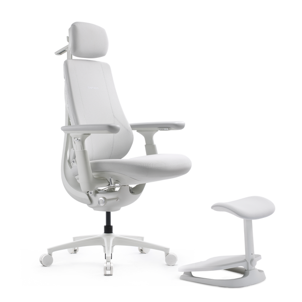LiberNovo Maxis Dynamic Ergonomic Chair
