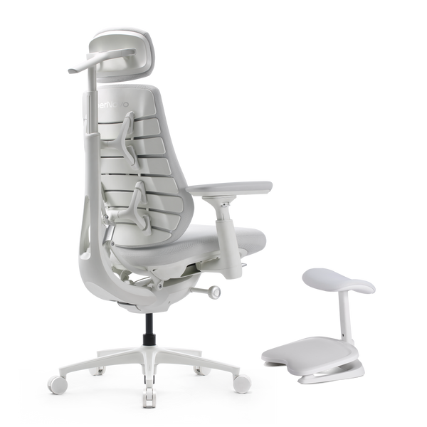LiberNovo Maxis Dynamic Ergonomic Chair

