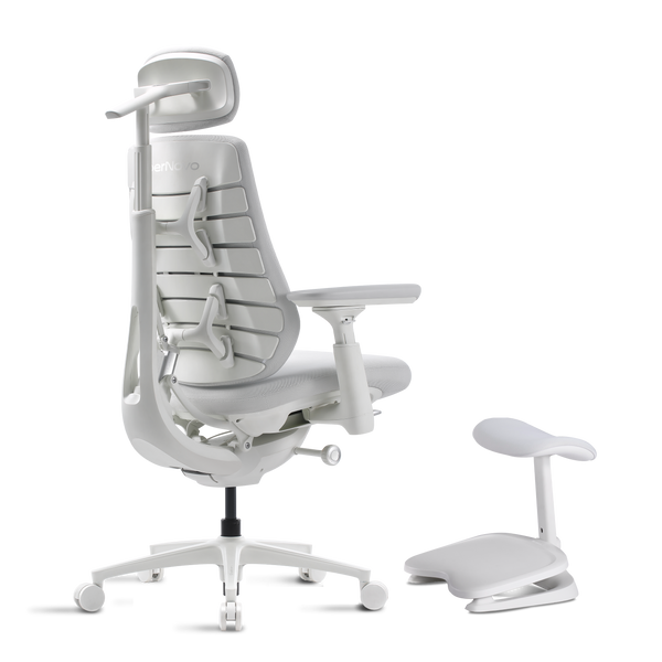 LiberNovo Maxis Dynamic Ergonomic Chair
