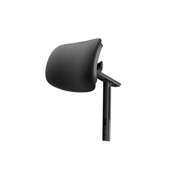 Pro-Headrest Assembly
