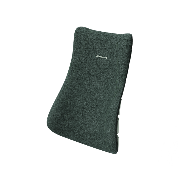 Backrest Assembly
